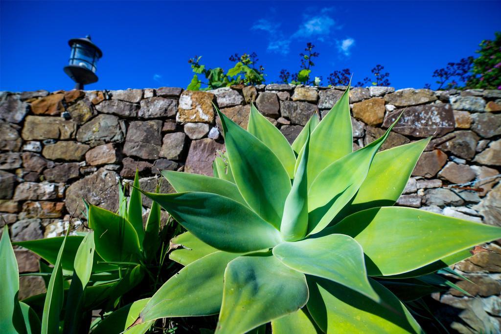 Casa de hóspedes El Levante Tarifa